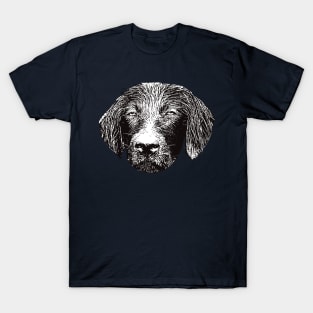 Flat Coated Retriever - Flattie Christmas Gifts T-Shirt